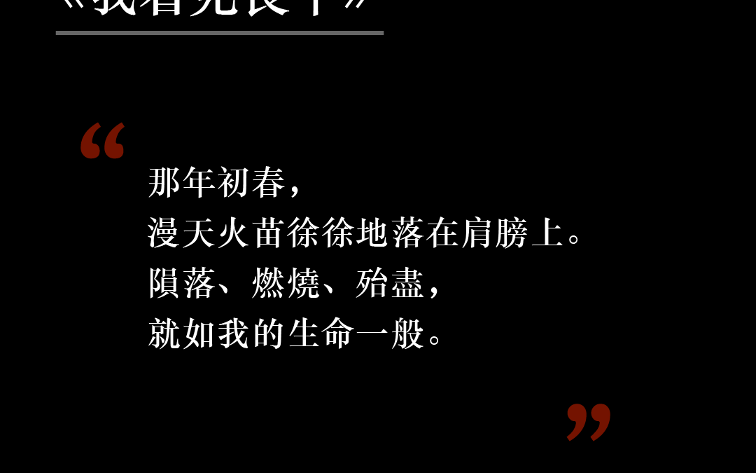 《我看見長平》